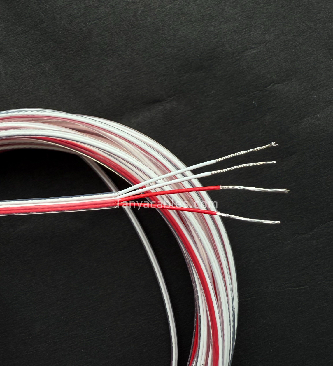 Tanya Enterprises Industrie